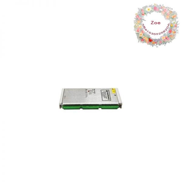 Bentley Nevada 3500/60 133819-01 RTD/TC Temperature Input Output Module