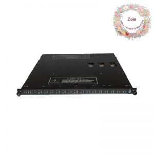 Invensys Triconex 3624 Digital Input/Output Module