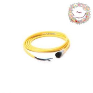 Siemens 889N-U3AF-12F Mini Straight Cord, Industrial Control Module