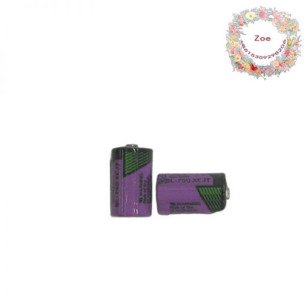 ABB SB808F 3BDM000199R1: RAM Buffering Battery, Dual Pack