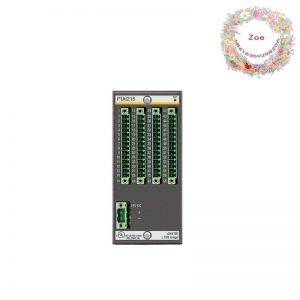 Bachmann PTAI216 - Advanced Temperature Recording Module