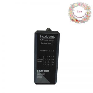 Foxboro FEM100 P0973CA - Advanced Fieldbus Expansion Module