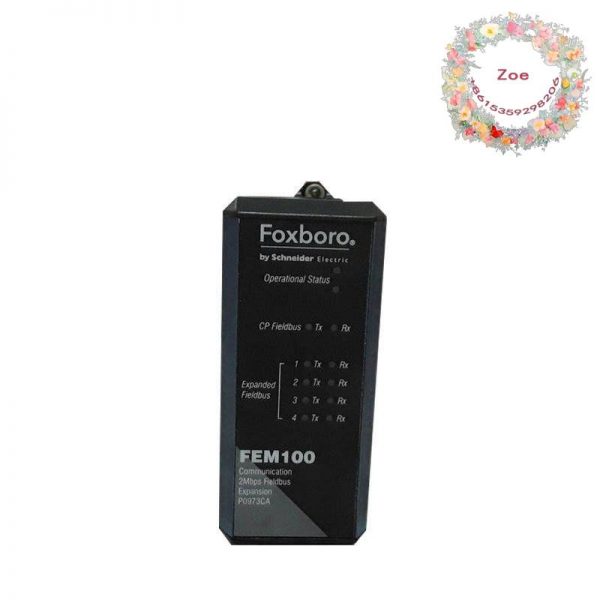 Foxboro FEM100 P0973CA - Advanced Fieldbus Expansion Module