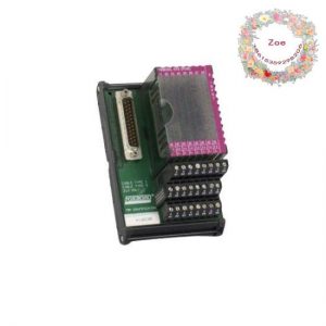 FOXBORO P0916AE Industrial Control Module