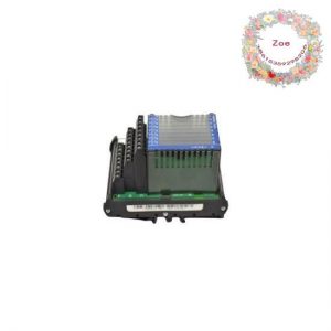 FOXBORO P0916JQ PLC Module