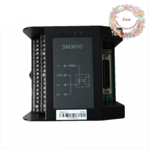 HOLLYSYS FM161D-48: High-Performance Switch Input Module for Industrial Automation