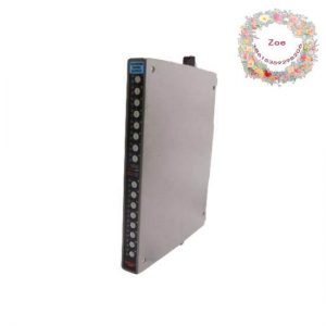 ICS TRIPLEX 9852*1 PLC Module