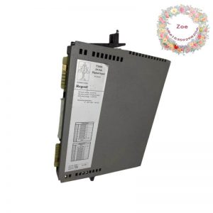 ICS Triplex T3411F - Monitored Digital Input Modules