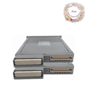 ICS TRIPLEX T8191 Single Slot PLC Module for Industrial Automation