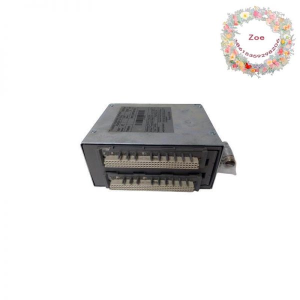 ICS TRIPLEX T8312-4 - Industrial Control System Module