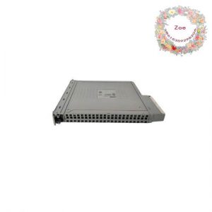 ICS Triplex T8403C - Industrial Digital Input Module, 200 Characters or Less