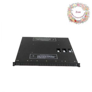 Invensys Triconex 2401L Digital Output Module