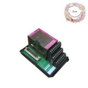 Foxboro P0916AE: I/A Series Control Module