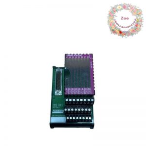 Foxboro P0916AEOC Terminal Card: Advanced Control Solution for Industrial Automation