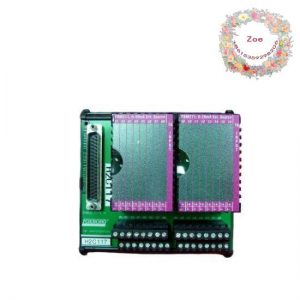 Foxboro P0916BT - I/A Series Control Module