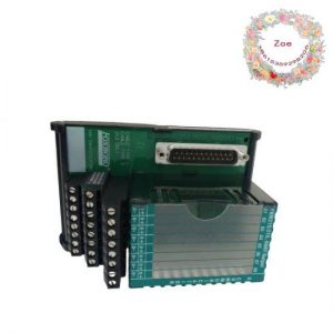 Foxboro P0916KF0B - Advanced Control Module for Industrial Automation