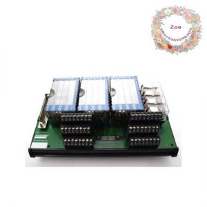 Foxboro P0916NG I/A Series Control Module