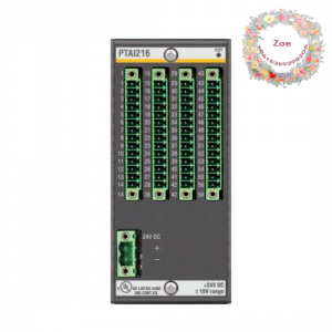Bachmann PTA1216 Temperature Input Module, Precise Control for Industrial Automation