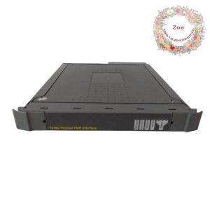 ICS TRIPLEX T8160 - Trusted TMR Regent Interface Module, 100 characters or less