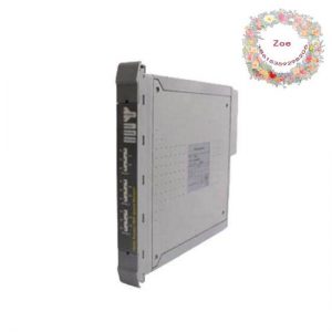 ICS TRIPLEX T8312 Extended Interface Adapter Unit - Mitsubishi PLC, 200 Characters