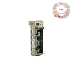Schneider Momentum 170AAI52040C4 Ch.TC/RTD/Mv Input Module, Coated Protection
